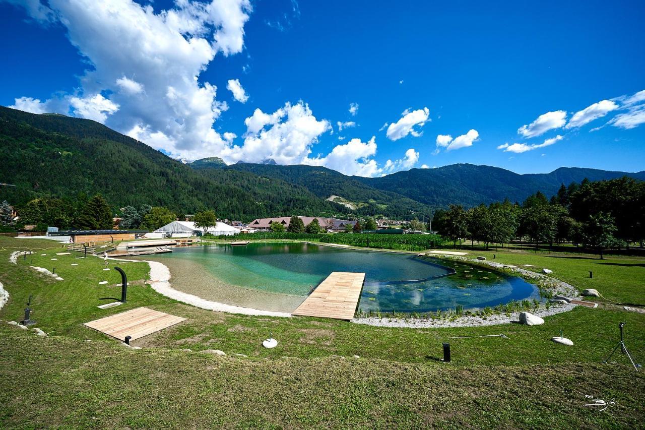 Chalet Mountain Plaza - Apt Greenvalley Pinzolo Eksteriør billede